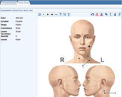 EMR - Physical Exam - Body Chart